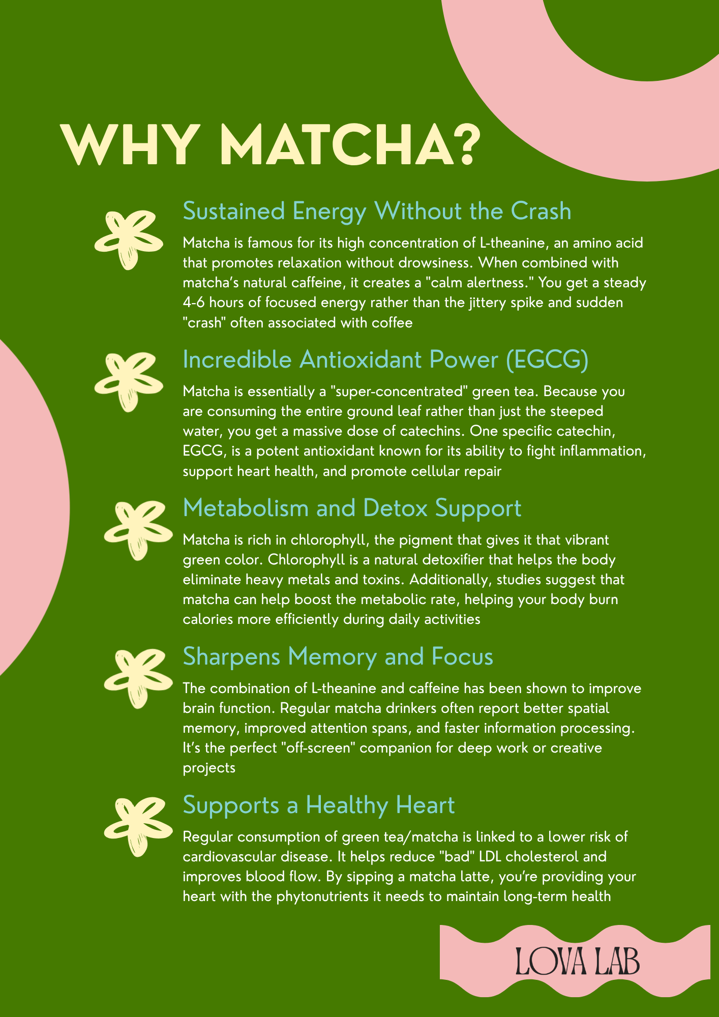 LOVA MATCHA - Matcha Latte Powder | Premium Green Tea Blend