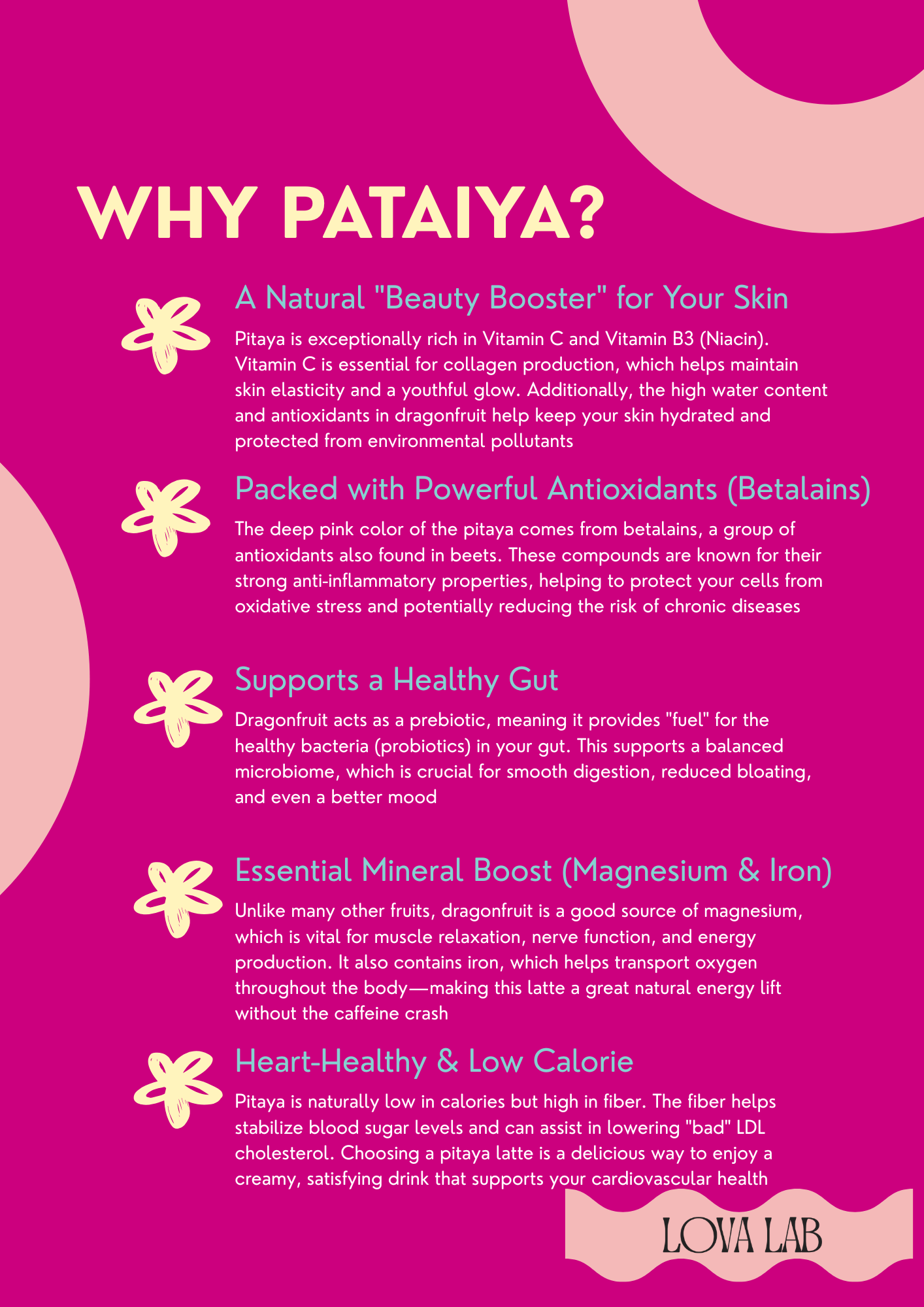 LOVA PINK – Premium Dragonfruit Latte Powder | Pink Pitaya Superfood Mix (Vegan)